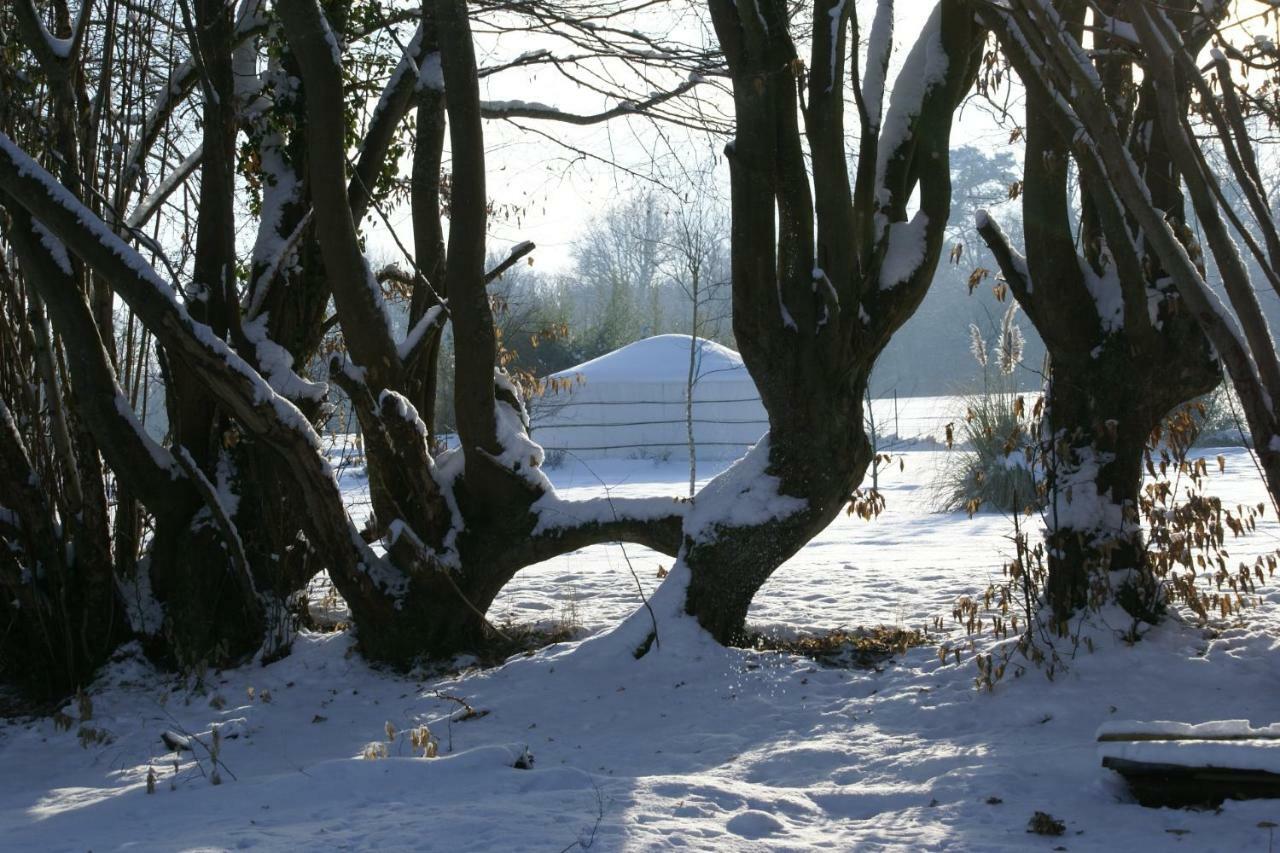 Le Refuge Du Clos Du Moulin Brionne Luaran gambar